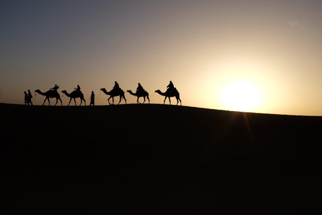 The Desert of Thar - Fascinating Facts & Formation History